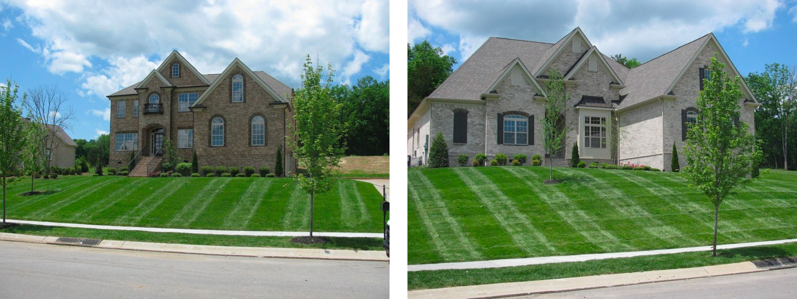 Annual Lawn Care Services