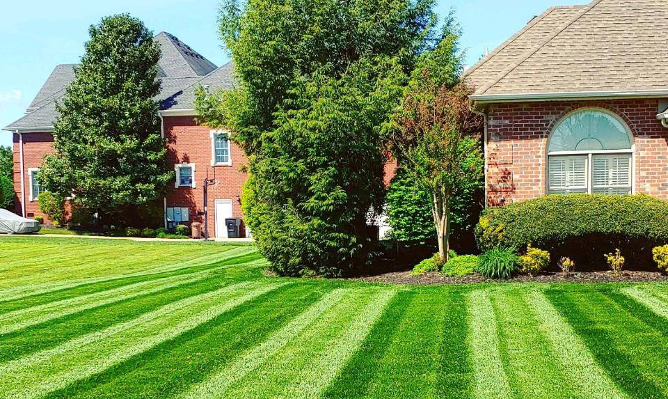 Residential Lawn Services