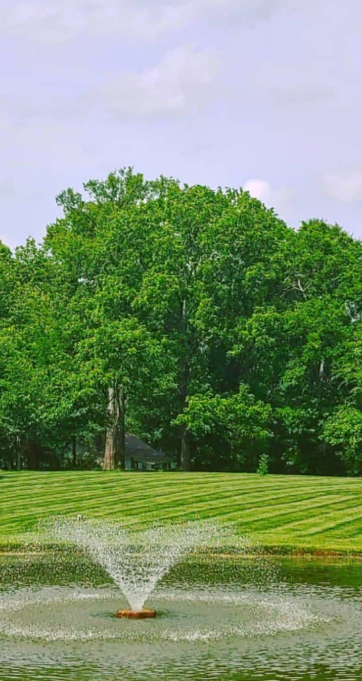 Professional Landscaping